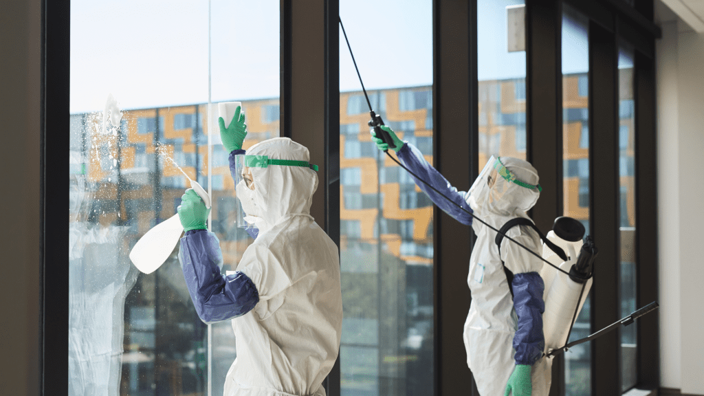 Enhancing safety with a view: Biohazard cleanup specialists, equipped with backpacks carrying specialized disinfecting solutions, manage hazardous waste for a thorough transformation in a space with expansive windows.